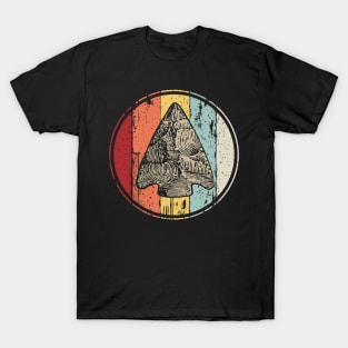 Funny Arrowhead Collecting Vintage Look Gifts T-Shirt
